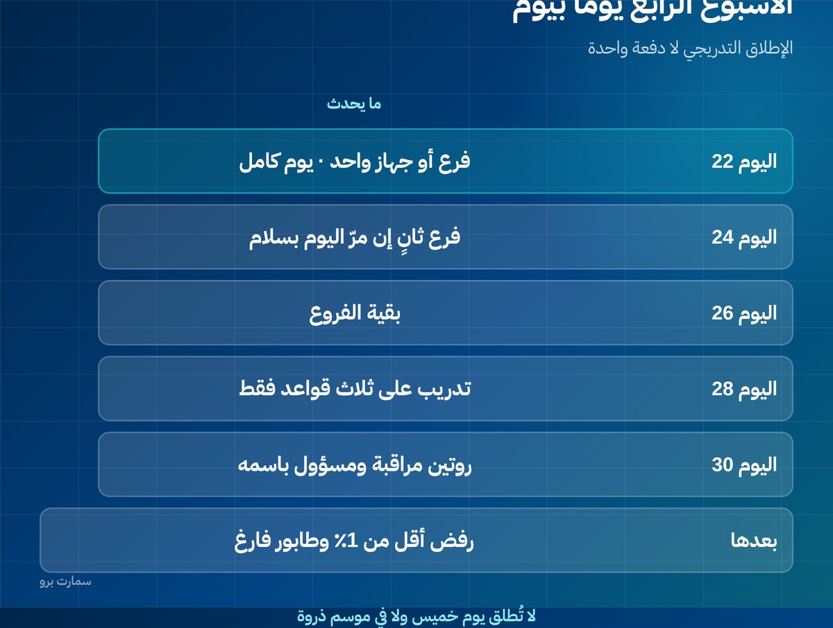 صورة إضافية للمقال