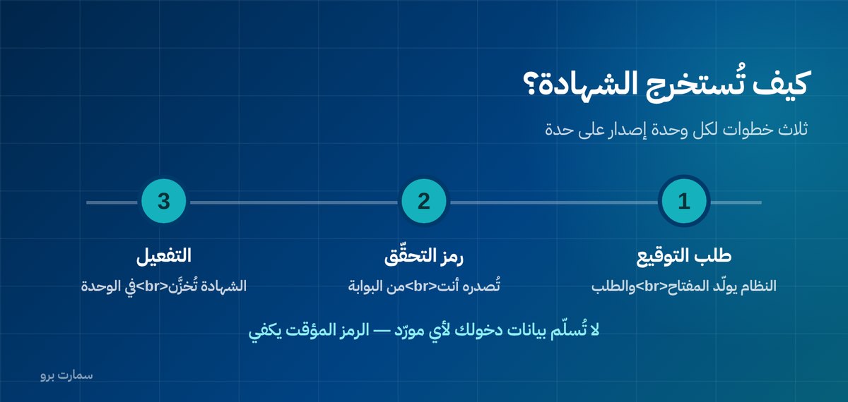 صورة إضافية للمقال