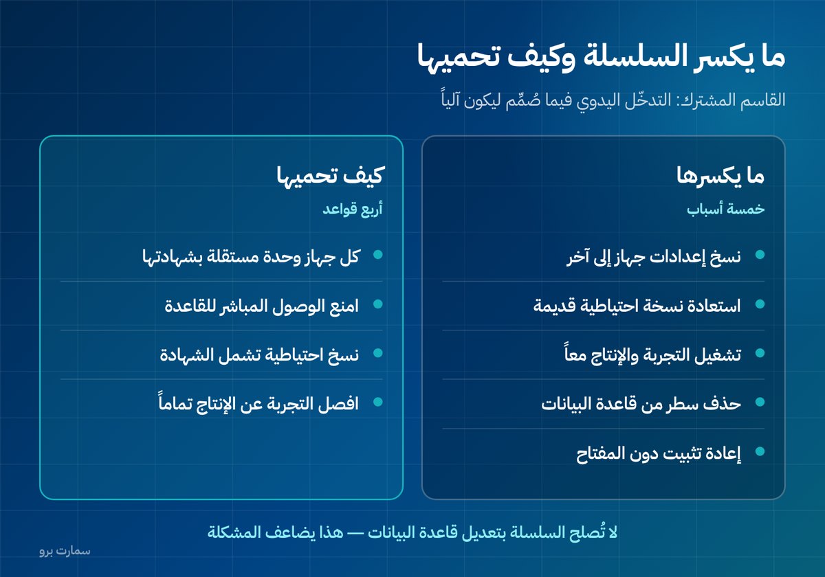 صورة إضافية للمقال